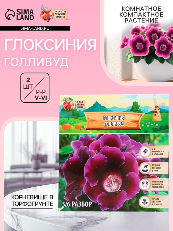 Глоксиния &laquo;Голливуд&raquo;, многолетник, комнатный, луковица в пакете с перфорацией, р-р 5/6, 2 шт.