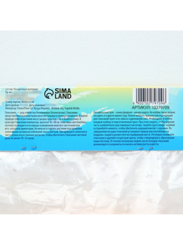 Глоксиния &laquo;Виолацея&raquo;, многолетник, комнатный, луковица в пакете с перфорацией, р-р 5/6, 2 шт.