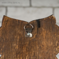 Настенное панно "Сова - радуга" 28х16х1,6 см