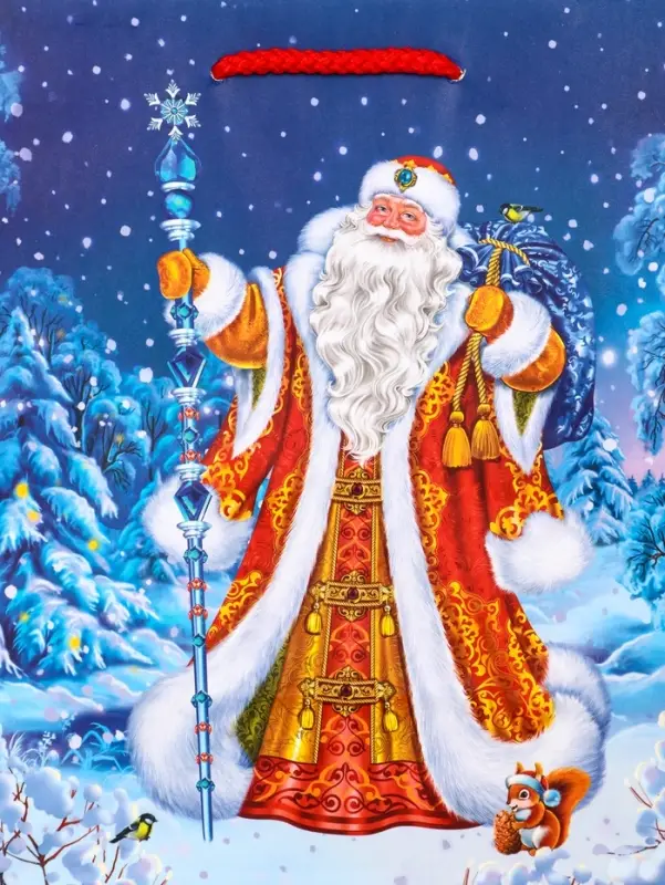 Пакет подарочный новогодний ламинированный, &laquo;Новогодний набор &raquo; , 18&times;10&times;22.3 см