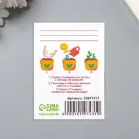 Открытка для выращивания &laquo;Арт Узор. Вырасти сам. Подарок от Деда Мороза&raquo; с семенами, 5&times;7 см