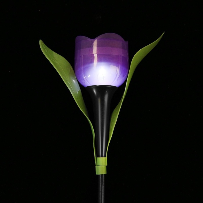 Садовый светильник на солнечной батарее &laquo;Тюльпан фиолетовый&raquo;, 4.5&times;29&times;4.5 см, 1 LED, свечение белое