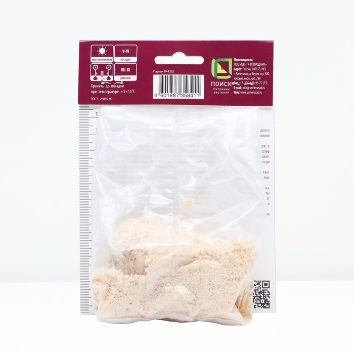 Калла Пако, р-р 14/16, 1 шт, Весна 2025