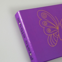 Фотоальбом 25 листов (уголки+кольца) "Бабочка" тиснение 19х27х3 см