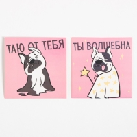 Подарочный набор термос и носки 3 пары KAFTAN Dogs, р. 33-35 (20-22 см) Подарочный набор термос и носки 3 пары KAFTAN Dogs, р. 33-35 (20-22 см)