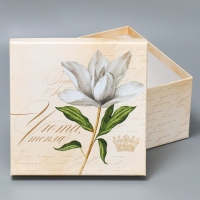 Набор коробок 10 в 1, упаковка подарочная, &laquo;Шебби&raquo;, 10.2 х 10.2 х 6‒28.2 х 28.2 х 15 см