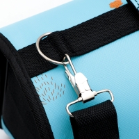 Сумка - переноска для животных "Путешественник", голубая, размер M, 40 х 21 х 27 см Сумка - переноска для животных "Путешественник", голубая, размер M, 40 х 21 х 27 см