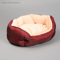 Лежанка для животных "Комфорт" 38 х 25 х 14 см, тафта, микс цветов Лежанка для животных "Комфорт" 38 х 25 х 14 см, тафта, микс цветов