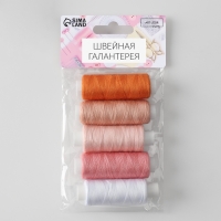 Набор ниток «Уютный закат», 40/2, 200 м, 5 шт, цвет разноцветный Набор ниток «Уютный закат», 40/2, 200 м, 5 шт, цвет разноцветный