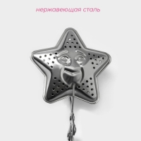 Сито из нержавебщей стали для чая Доляна «Звезда», 16,5 см, цвет серебряный Сито из нержавебщей стали для чая Доляна «Звезда», 16,5 см, цвет серебряный