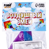 Воздушный змей &laquo;Орёл хвостатый&raquo;, с леской, виды МИКС