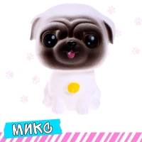 Питомец &laquo;Любимый&raquo;, МИКС