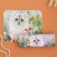 Очечник "Котёнок", 17х7 см Очечник "Котёнок", 17х7 см