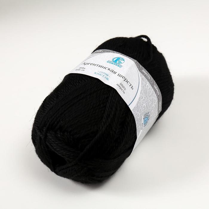 Пряжа Пряжа "Аргентинская шерсть" 100% импортная шерсть 200м/100гр (003, черный)