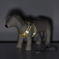 Комплект с мягкой шлейкой, размер XXS, поводок 150 х 1,5 см, ОГ 28-30 см,ОШ 24-26 см, жёлтый Комплект с мягкой шлейкой, размер XXS, поводок 150 х 1,5 см, ОГ 28-30 см,ОШ 24-26 см, жёлтый