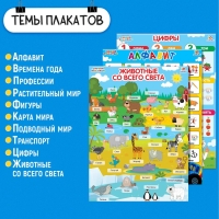 Обучающие плакаты &laquo;Синий трактор&raquo;