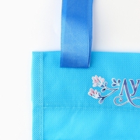 Органайзер для хранения вещей с 2 отделениями &laquo;Лучший сынок&raquo; голубой, 28х25