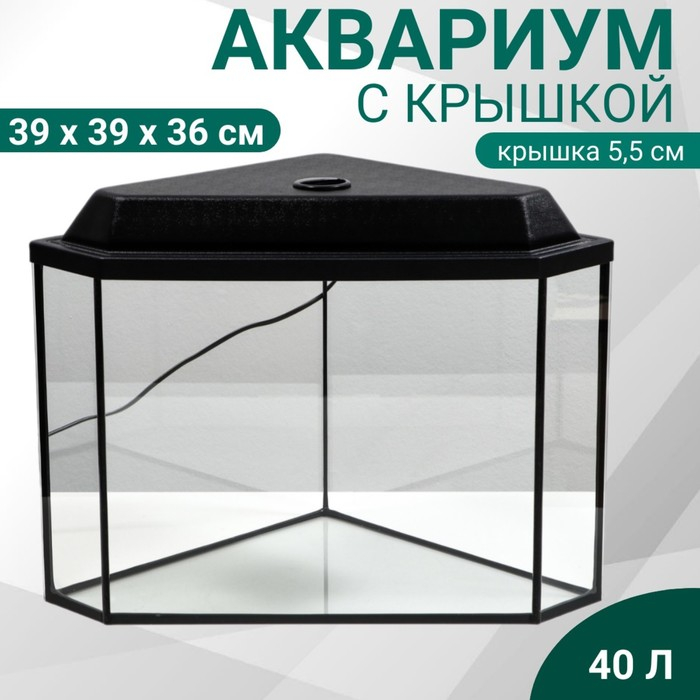 Аквариум "Дельта" угловой с крышкой, 40 литров, 39 х 39 х 36/41,5 см, чёрный