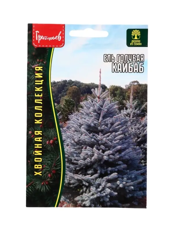 Семена цветов Ель Кайбаб голубая (Kaibab) 15 шт. / НОВИНКА  12.29 г.