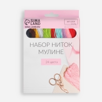 Набор ниток мулине, №3/4, 8 &plusmn; 1 м, 24 шт