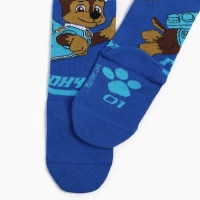 Колготки PAW PATROL &laquo;Гончик&raquo;, цвет синий, 86-92 см