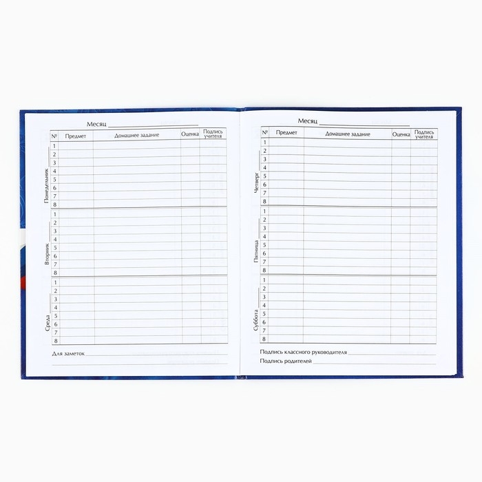 Дневник школьный для 1-11 класса, в интегральной обложке, 40 л. &laquo;Россия. Синий&raquo;