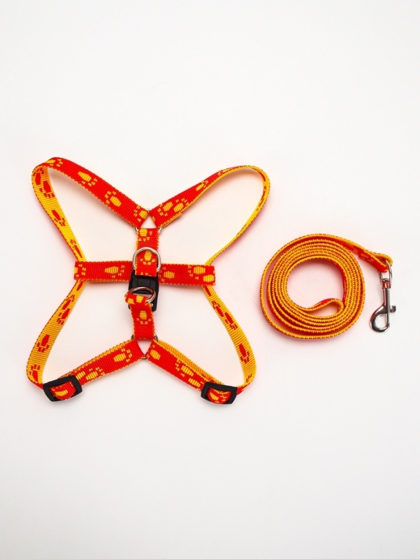 Комплект "Большая лапа", ширина 1,5 см, поводок 120 см, шлейка 28-42 см, оранжево-жёлтый