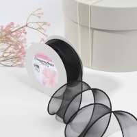 Лента капроновая &laquo;Волна&raquo;, с блеском, 40 мм, 10 &plusmn; 1 м, цвет чёрный №42