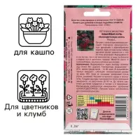 Семена цветов Петуния "Вишневая ночь", компактная, низкорослая, 0,05 г