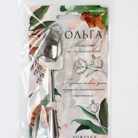 Ложка именная на открытке "Ольга", 3 х 14 см