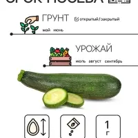 Семена Кабачок цуккини "Фараон", 1 г