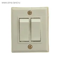 Выключатель "Топ", 10 А, 220 В, 2 клавиши, накладной, белый