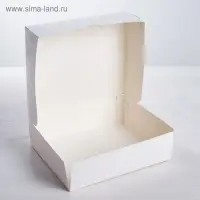 Кондитерская упаковка, коробка &laquo;Радости&raquo; 17 х 20 х 6 см