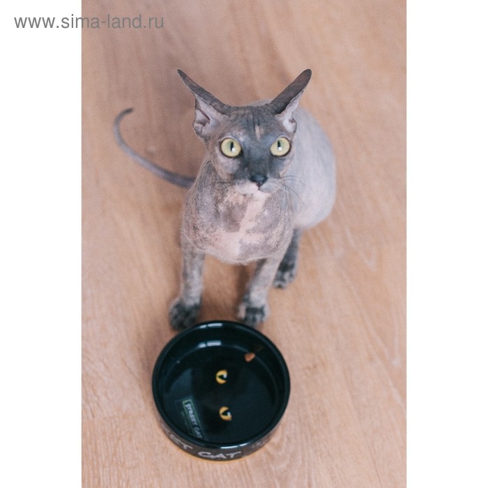 Миска керамическая "Черный кот" 300 мл  12,5 х 4,5 см, черная