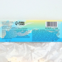 Глоксиния &laquo;Принц Альберт&raquo;, многолетник, комнатный, луковица в пакете с перфорацией, р-р 5/6, 2 шт.