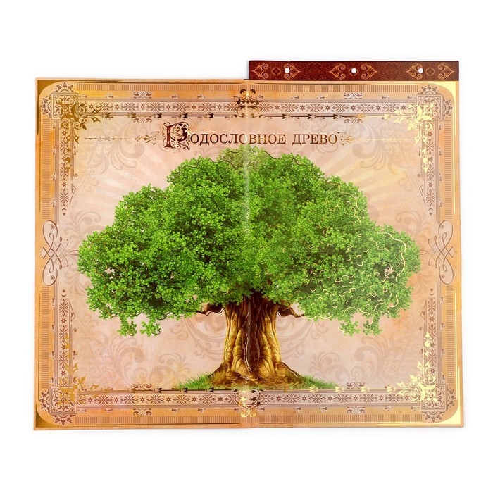 Родословная книга с рамкой под фото &laquo;Семейная летопись&raquo;, 22,5 х 23,7 см.