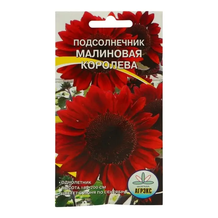 Семена цветов Подсолнечник "Малиновая королева", 10 шт