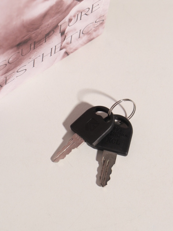 Сейф-книга дерево кожзам "Эстетика скульптуры" 21х13х5 см