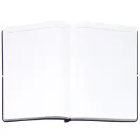 Ежедневник Flexpen Bright, недатированный, фиолетовый