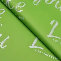 Пленка для цветов матовая, &laquo;Ты мне нравишься&raquo;, 57&times;57 см, зелёная мята, 65 мкм