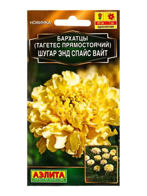 Семена цветов Бархатцы Шугар энд спайс вайт прямостоячие  Золотая серия, Ц/П,10 шт.