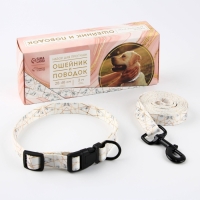 Набор &laquo;Мрамор&raquo;, застёжка - фастекс, поводок 2 м и ошейник 28-46 см