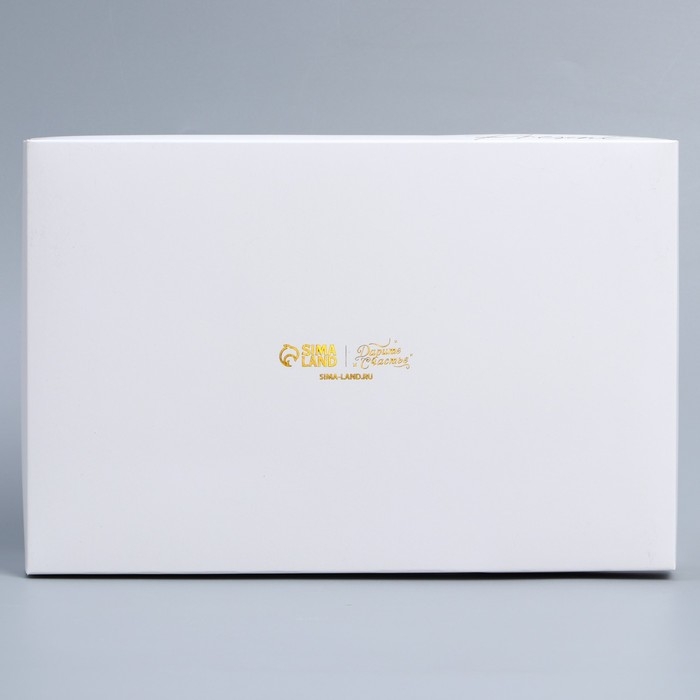 Коробка кондитерская для муссовых пирожных &laquo;Present&raquo;, 27 х 17.8 х 6.5 см