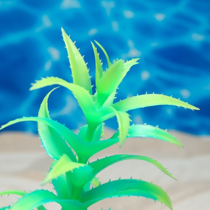 Растение искусственное аквариумное, светящееся, 20 см, зелёное Растение искусственное аквариумное, светящееся, 20 см, зелёное