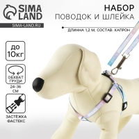 Комплект «Моя радость», шлейка 24-36 см, поводок 120х1 см Комплект «Моя радость», шлейка 24-36 см, поводок 120х1 см