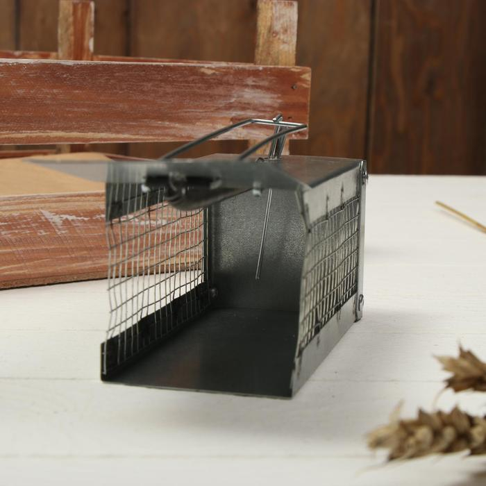Мышеловка-ловушка (клетка), 13 &times; 6 &times; 6 см, металл