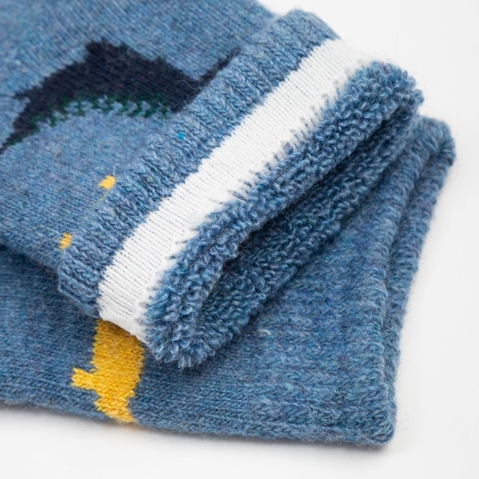 Носки детские шерстяные &laquo;Динозаврики&raquo;, цвет МИКС, размер 16 (3-5 лет)