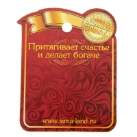 Монета выбора сувенир &laquo;Пить - Не пить&raquo;, d=2,5 см.