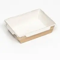 Контейнер с плоской крышкой, крафт, 0,5 л, 16 х 12 х 4,5 см