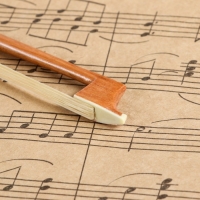 Смычок для скрипки Music Life 1/2 Смычок для скрипки Music Life 1/2